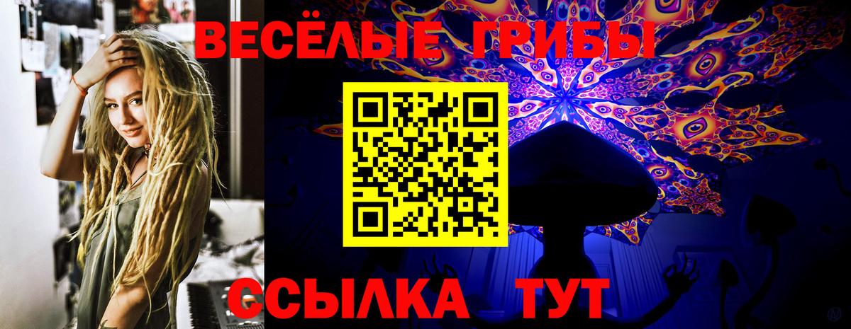 Галлюциногенные грибы прущие грибы Донской