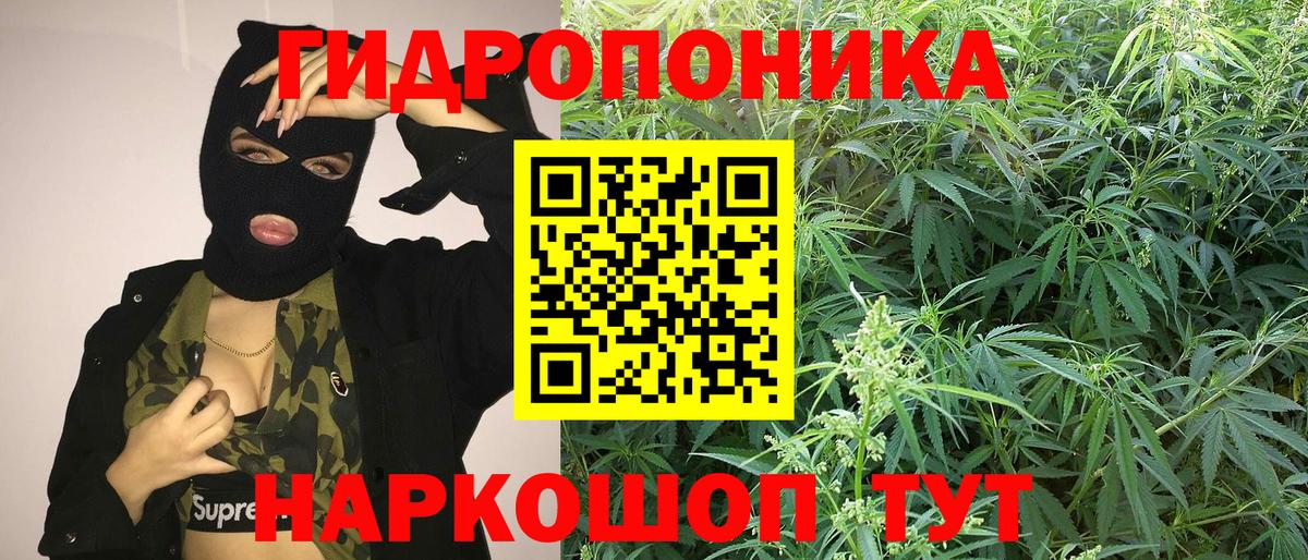 Конопля LSD WEED Донской